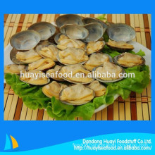 we mainly supply frozen cooked short necked clam to overseas market